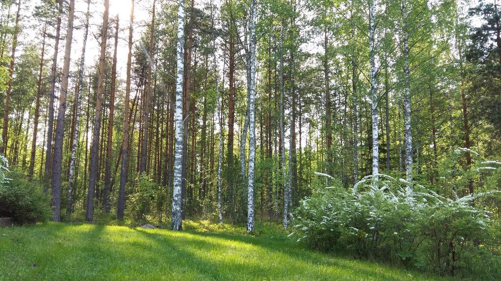 Marina Holiday Rauhan Village Apartments Imatra Ngoại thất bức ảnh